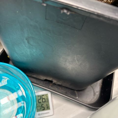 Frozen Fuel growlog timeline photo