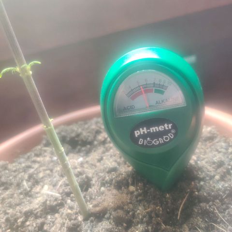 Widmo  growlog photo: Too low
