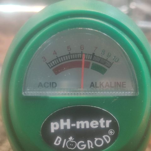 Widmo  growlog timeline photo