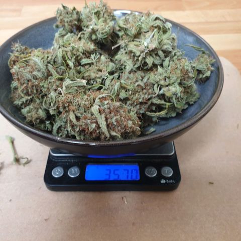 F1 Epsilon RQS growlog timeline photo