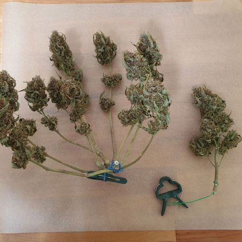 F1 Epsilon RQS growlog timeline photo