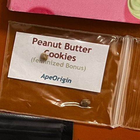 Peanut Butter Cookies #1 growlog timeline photo