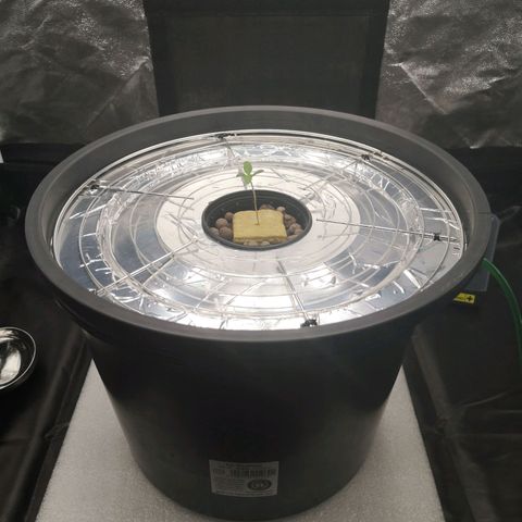 210814 growlog timeline photo