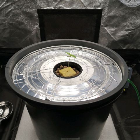 210814 growlog timeline photo