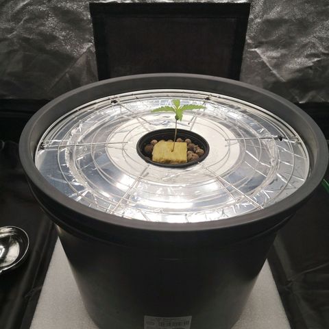 210814 growlog timeline photo