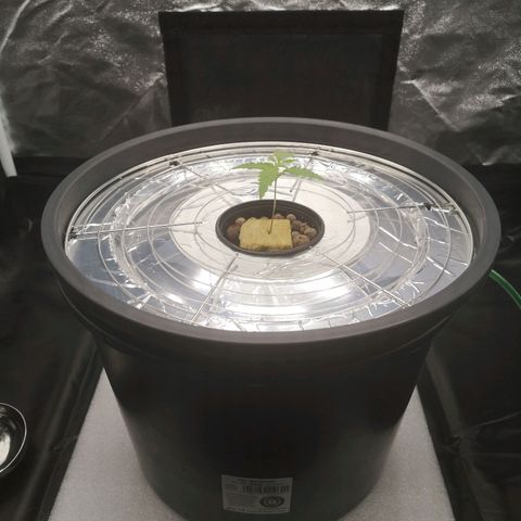 210814 growlog timeline photo