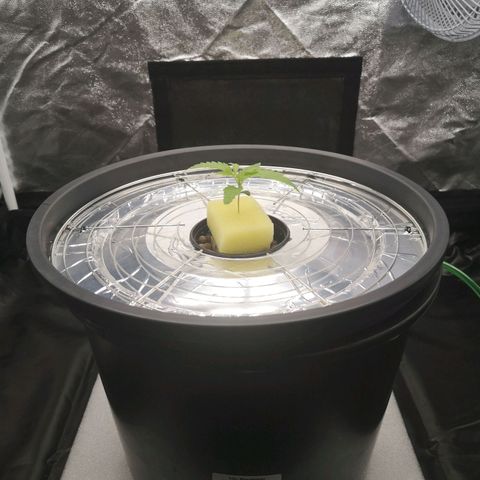 210814 growlog timeline photo