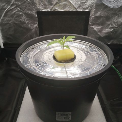 210814 growlog timeline photo