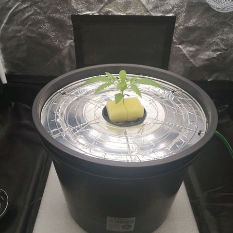 210814 growlog timeline photo