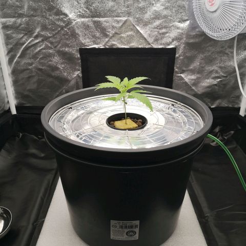 210814 growlog timeline photo