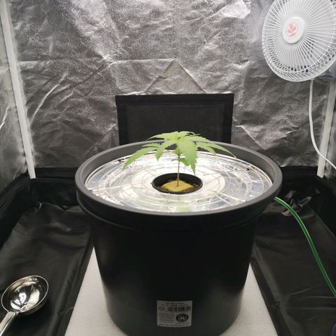 210814 growlog timeline photo