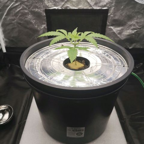 210814 growlog timeline photo