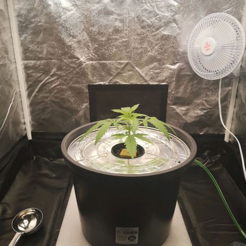 210814 growlog timeline photo