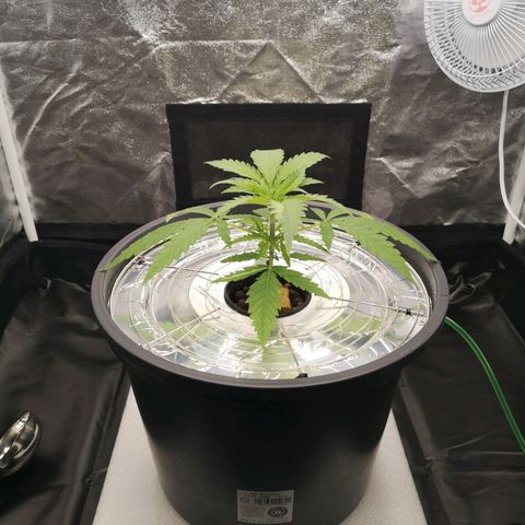 210814 growlog timeline photo