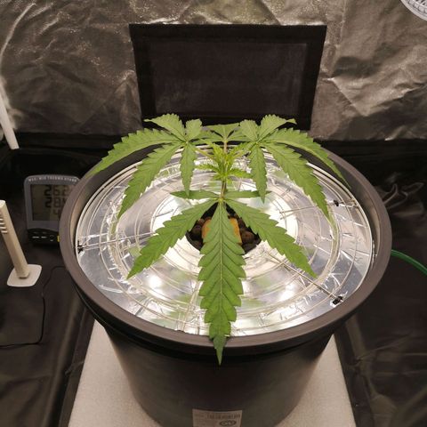 210814 growlog timeline photo