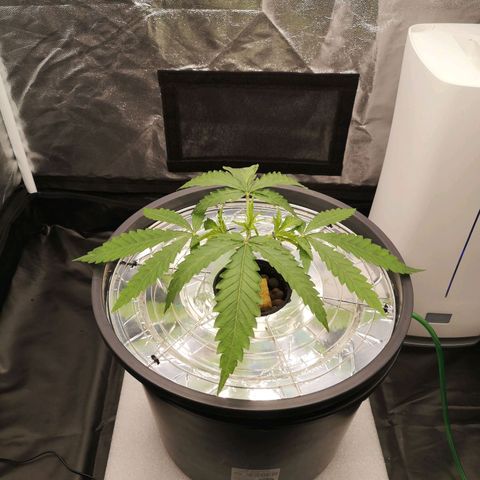 210814 growlog timeline photo