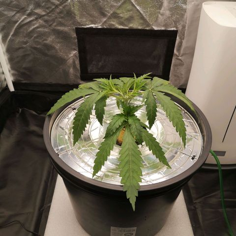 210814 growlog timeline photo