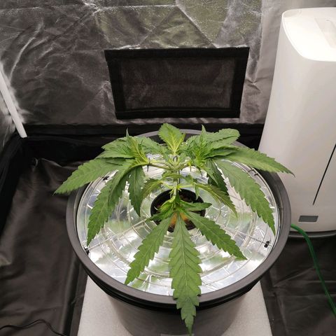 210814 growlog timeline photo
