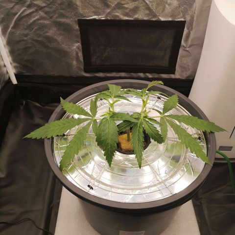 210814 growlog timeline photo