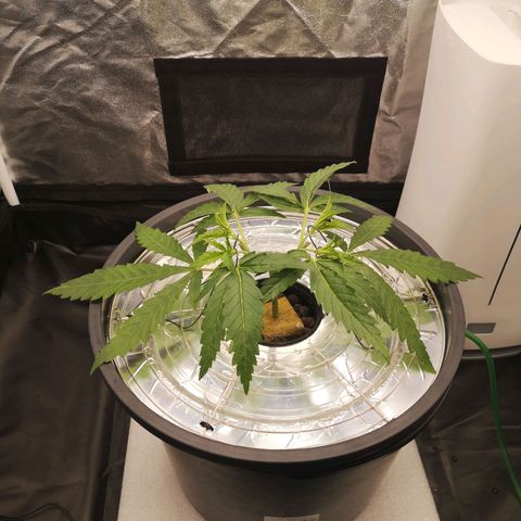 210814 growlog timeline photo