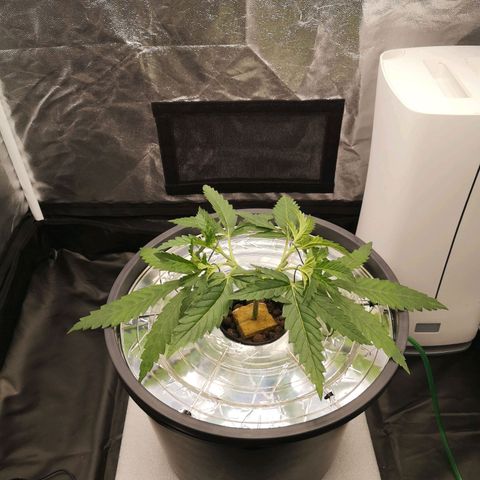 210814 growlog timeline photo