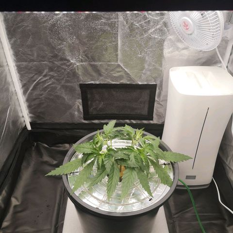 210814 growlog timeline photo