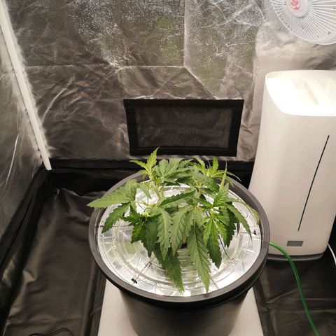 210814 growlog timeline photo