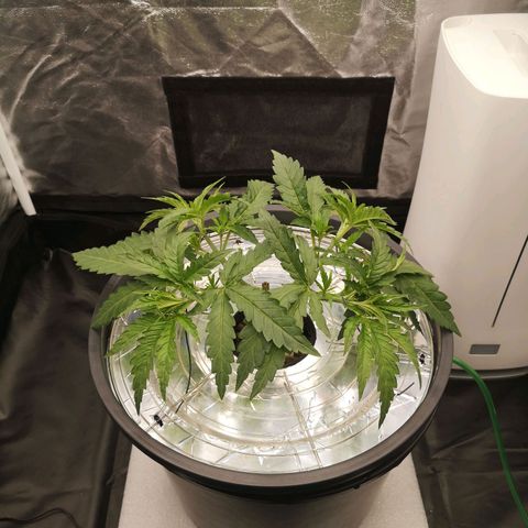 210814 growlog timeline photo