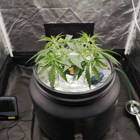 210814 growlog timeline photo
