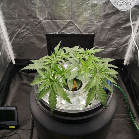 210814 growlog timeline photo