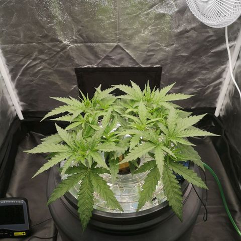 210814 growlog timeline photo