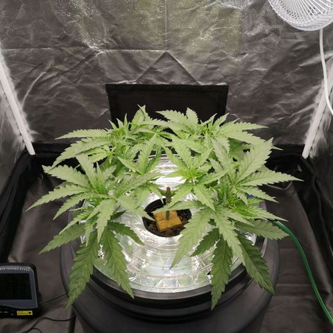 210814 growlog timeline photo