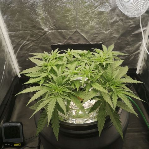 210814 growlog timeline photo