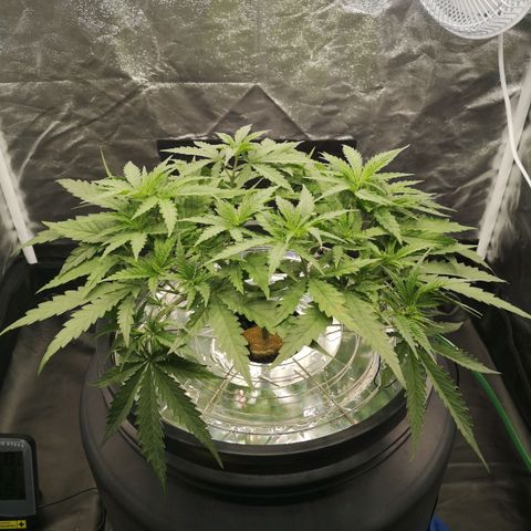 210814 growlog timeline photo