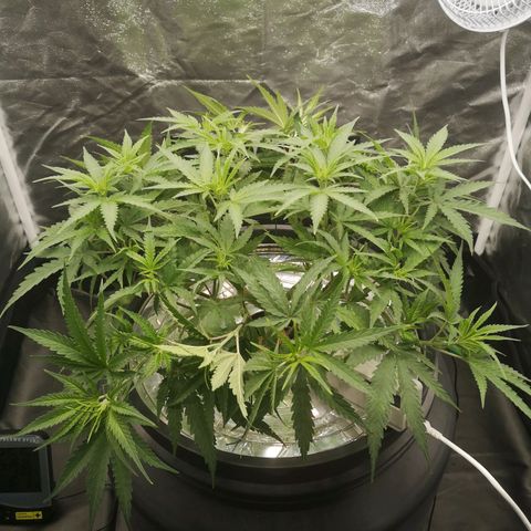 210814 growlog timeline photo