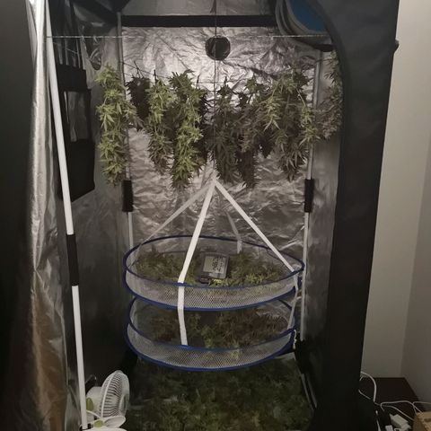 210814 growlog timeline photo