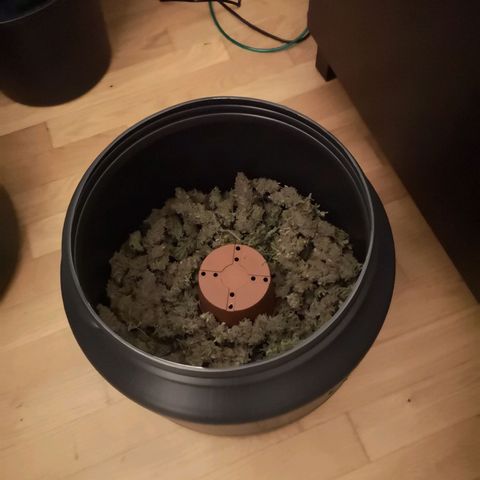 210814 growlog timeline photo