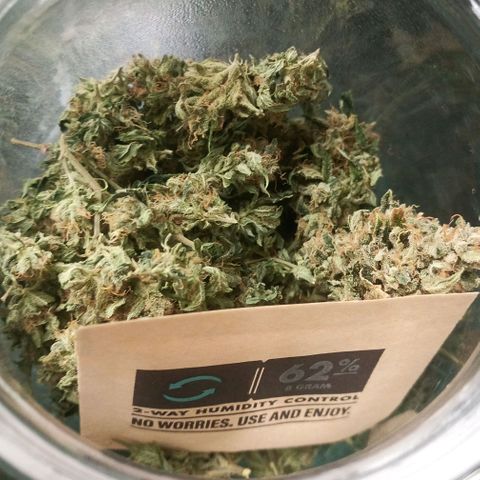 Preta Kush growlog timeline photo