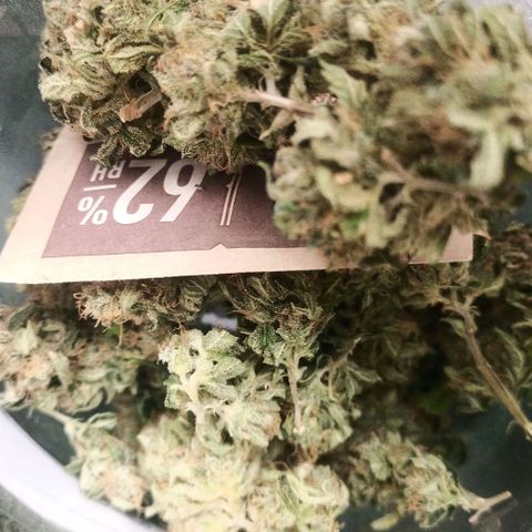 Preta Kush growlog timeline photo