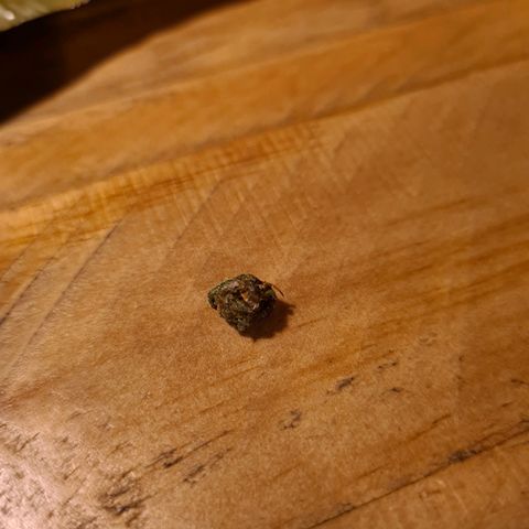 Double Kush Cake Auto growlog timeline photo