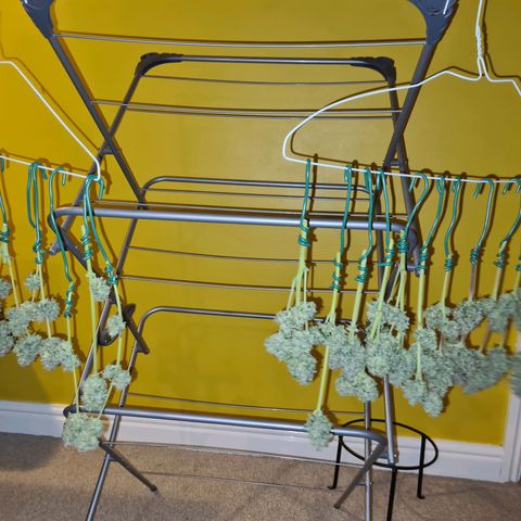 Double Kush Cake Auto growlog timeline photo
