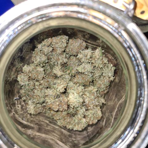 Double Kush Cake Auto growlog timeline photo