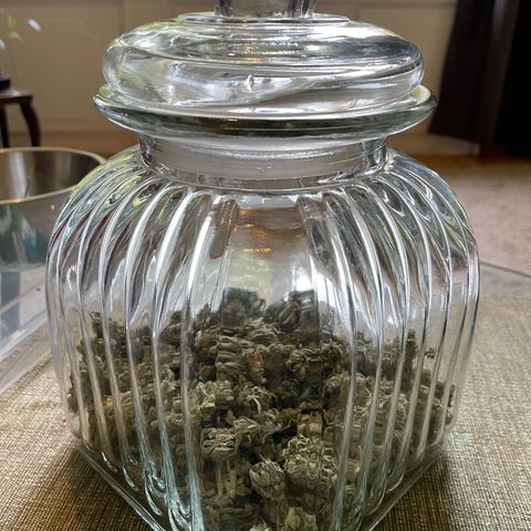 Jimmy growlog timeline photo