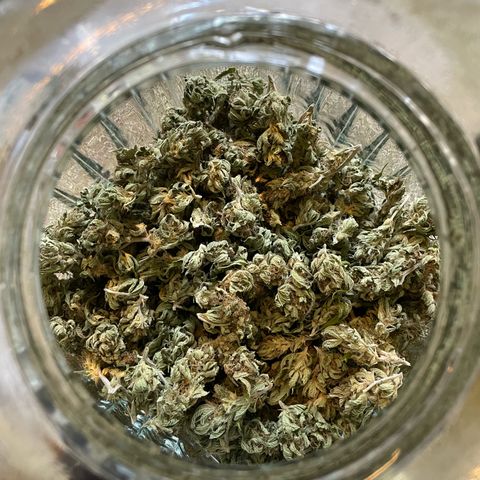 Jimmy growlog timeline photo