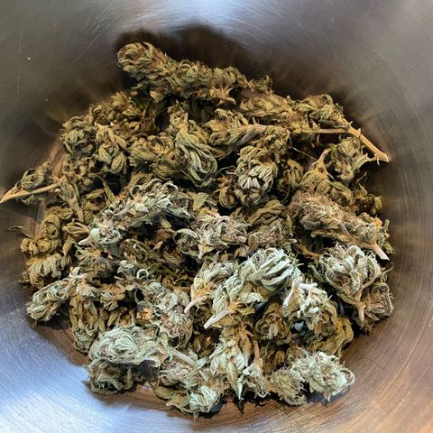 Jimmy growlog timeline photo