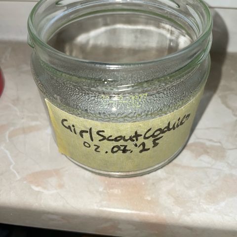 Girl Scout Cookies Fem by KilliczGe growlog timeline photo