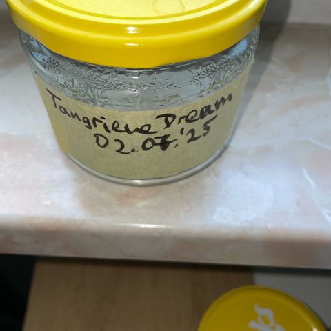 Tangerine Dream Fem by KilliczGe growlog timeline photo