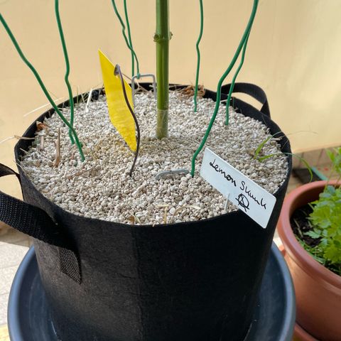 Late Outdoor season 25 - turned inside :D 1 AK48#2 auto  growlog timeline photo