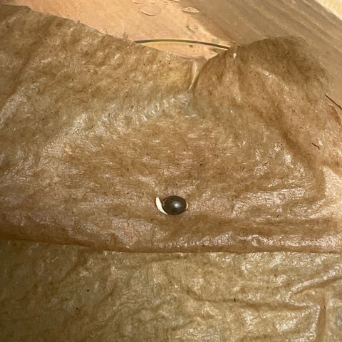 Permanent Marker by KilliczGe growlog photo