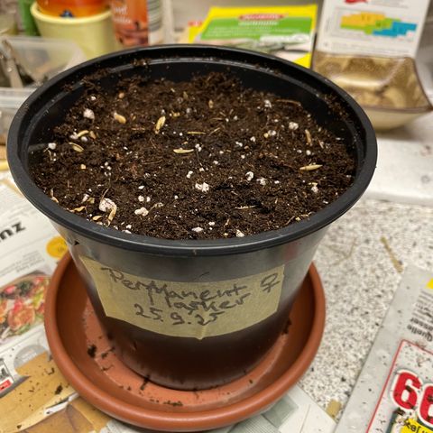 Permanent Marker by KilliczGe growlog photo